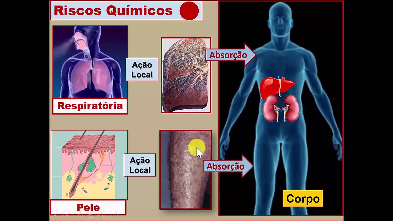 Impactos dos Vapores Químicos no Organismo