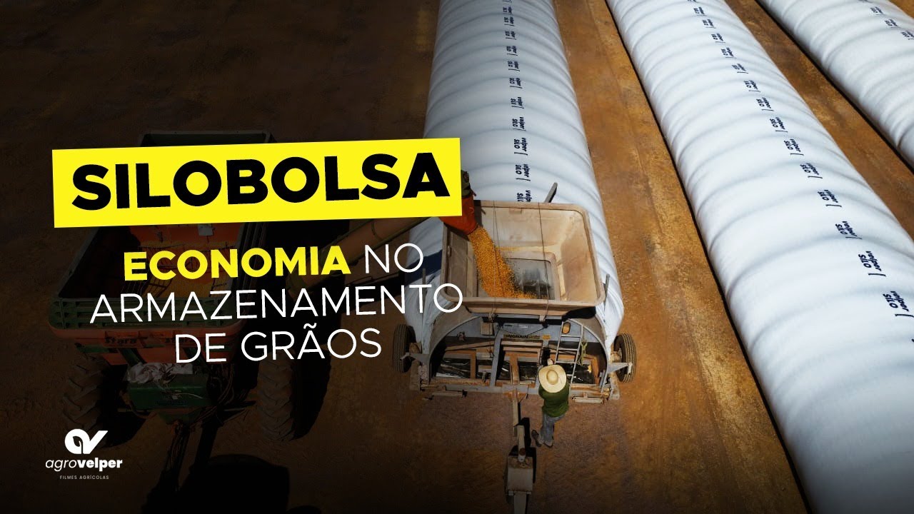 Benefícios das Bolsas de Armazenamento